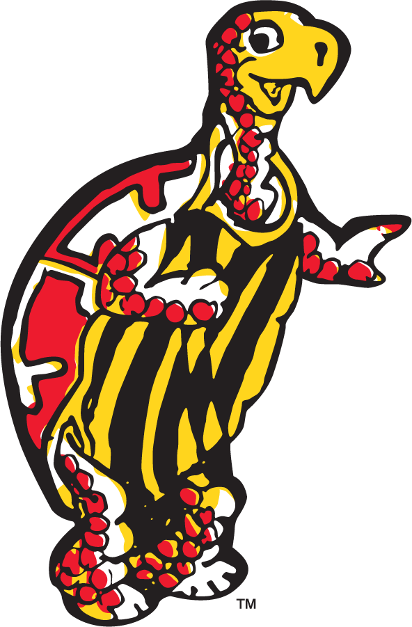 Maryland Terrapins 1953 Secondary Logo diy iron on heat transfer